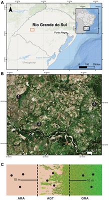 Bacterial and Archaeal Communities Change With Intensity of Vegetation Coverage in Arenized Soils From the Pampa Biome